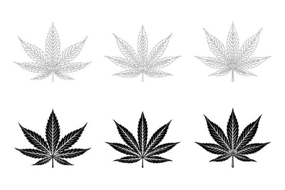 The Marijuana Leaf: Botanical Identity, Cultural Resonance, and the Role of Illustrator-Ready Digital Assets